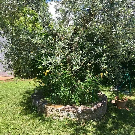 La Casina Di Eleonora Apartman Mosciano